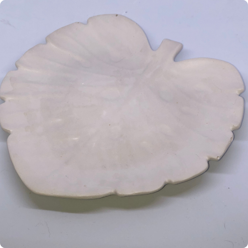 Miska Monstera